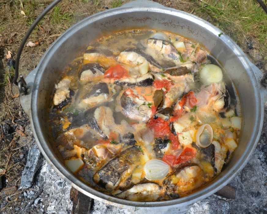Рыболовная база отдыха «Fish Club» (Фиш Клуб)